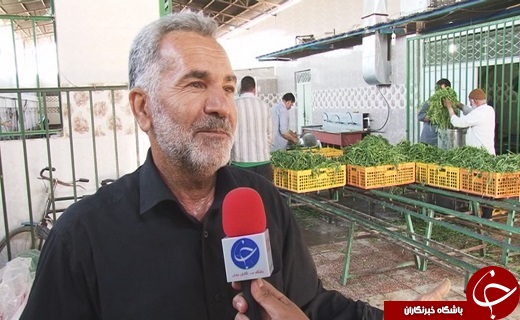 شور و همدلی یزدی&zwnj;ها برای پذیرایی از زائران پیاده روی اربعین