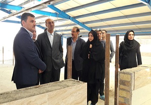 ایران در تولید محصولات دامی خودکفا است