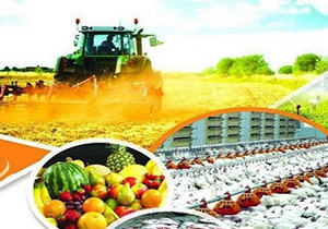 تسهیلات اشتغال پایدار روستایی به ۴۷۱ طرح پرداخت شد