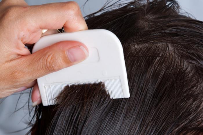 اجرای طرح شیوع شپش در مدارس فراشبند