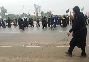 از زیبایی‌های اربعین حسینی/ حضور پیرزن عصا به دست در مسیر نجف به کربلا + فیلم