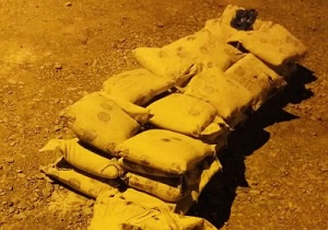حمله گوزن به پارک بان&zwnj;ها/ نجات ۵ کوهنورد گم شده /جولان کالا و اجناس مشابه خارجی در بازار صنایع دستی