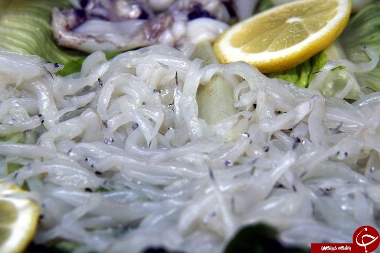 غذای قیمتی که مزه خاصی ندارد! + عکس
