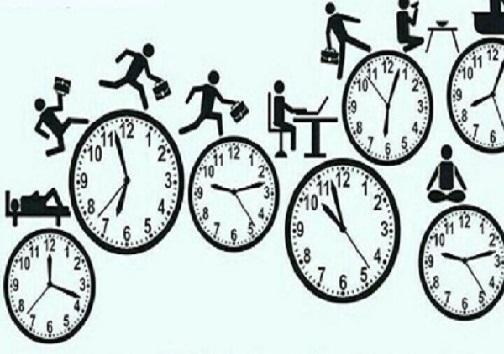 از سیر تا پیاز برنامه ریزی درسی