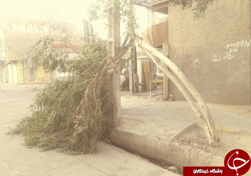 طوفان ۱۱۲ کیلومتری آلودگی هوای زابل را به ۴۲ برابر حد مجاز رساند + تصاویر