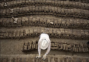شناسایی ۵۳۹ نیروی کار غیر مجاز در استان قزوین