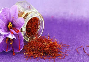 رونق کشت زعفران در استان کرمانشاه از سال ۱۳۹۰