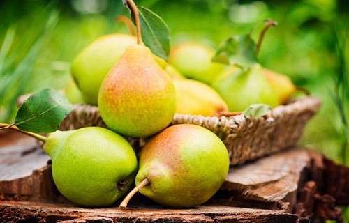 بخندید تا استرس از بدنتان دور شود/آبرسانی پوست با این روغن خوشمزه/میوهای از گل که درد دندانتان را رفع میکند/5 خاصیت شگفت انگیز سیب سبز بخندید تا استرس از بدنتان دور شود/آبرسانی پوست با این روغن خوشمزه/میوهای از گل که درد دندانتان را رفع میکند/5 خاصیت شگفت انگیز سیب سبز