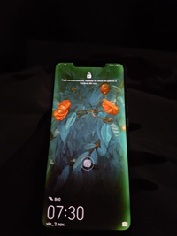 هوآوی در بیانیه&zwnj;ای نسبت به اعلام اشکال در صفحه نمایش Mate 20 Pro واکنش نشان داد