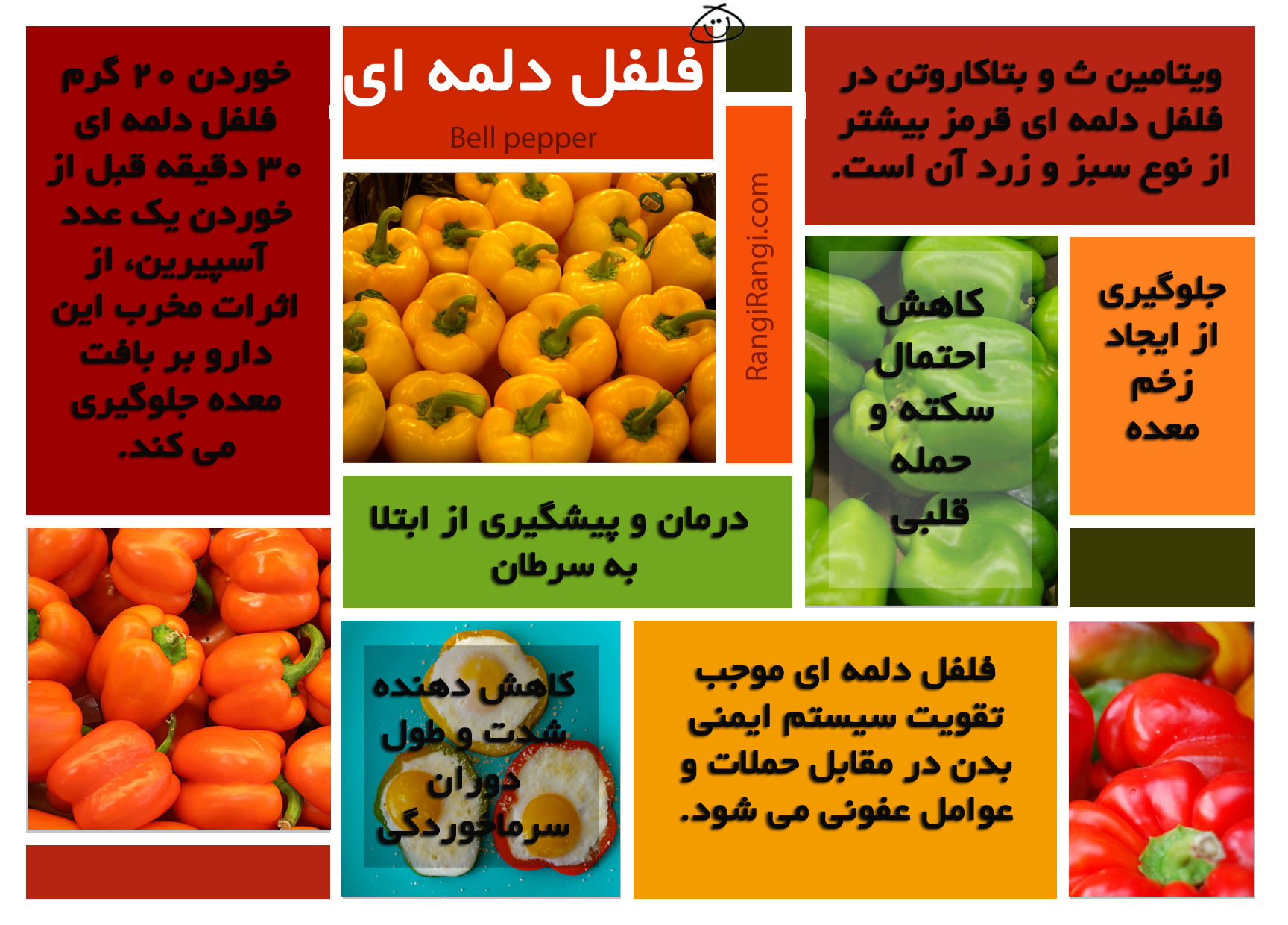 خواص شگفت انگیز فلفل دلمه ای برای بدن+اینفوگرافی