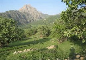 افزایش۳۰۰ درصدی تسهیلات بانکی طرح‌های گردشگری در لرستان