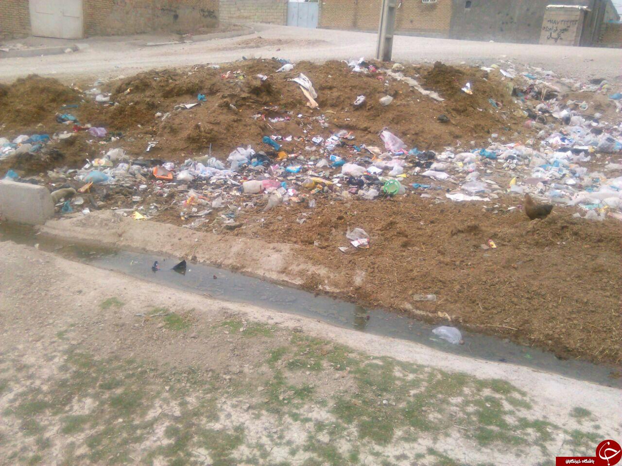 اوضاع بهداشت معابر در روستای 