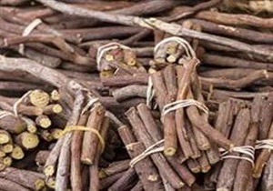 توقیف یک دستگاه تریلی ولوو با ۳۶ تن گیاه دارویی قاچاق