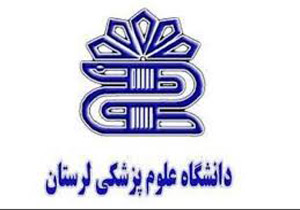 بکارگیری ۵۱۰ نفر در حوزه بهداشت و درمان لرستان