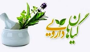 بازار گیاهان دارویی در کهگیلویه و بویراحمد ایجاد شود