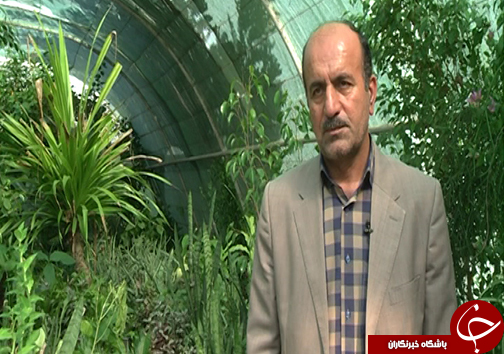 کمپوست پلت شده به روش طبیعی و جای خالی آن در مزارع گلستان