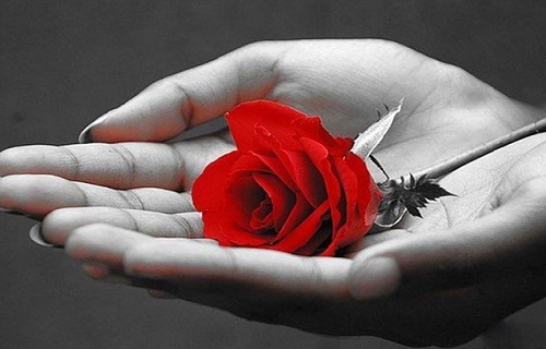 قدم&zwnj;هایی موثر در رفع شک به همسر/اگر دچار شک به همسر هستید، بخوانید