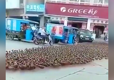 خبر