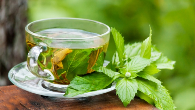 بیماریهای زنانه را بدون دکتر و دارو درمان کنید/ قویترین گیاهان دارویی برای درمان عفونتهای رحمی بیماریهای زنانه را بدون دکتر و دارو درمان کنید/ قویترین گیاهان دارویی برای درمان عفونتهای رحمی