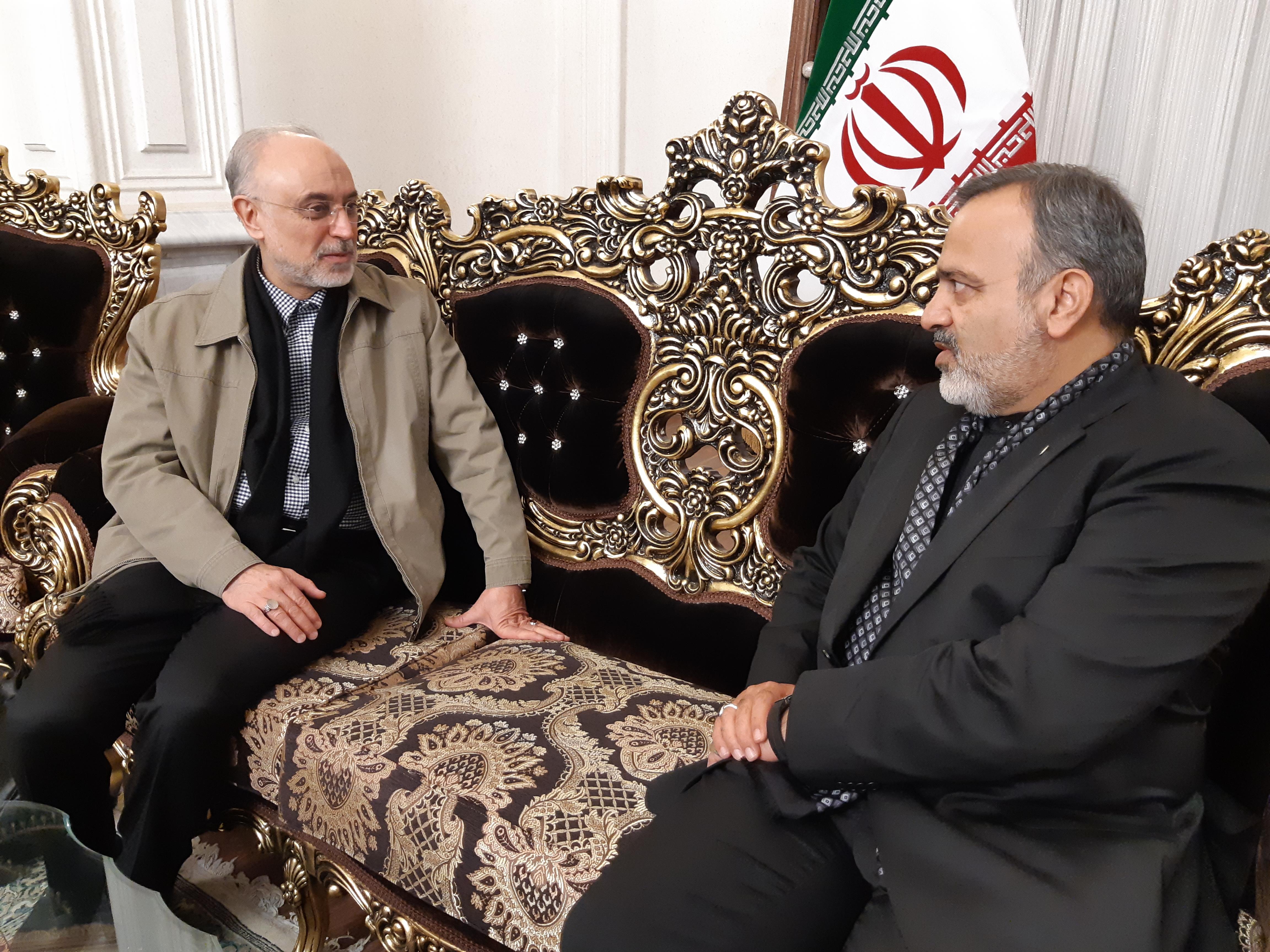 رئیس سازمان انرژی اتمی وارد مشهد شد