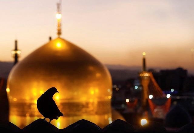 چهل حدیث از امام رضا(ع)