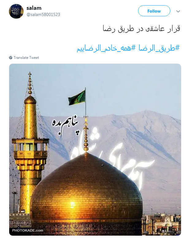 در طریق امام رضا(ع) #همه_خادم_الرضاییم +تصاویر