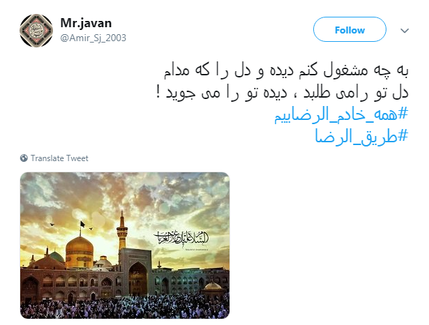 در طریق امام رضا(ع) #همه_خادم_الرضاییم +تصاویر