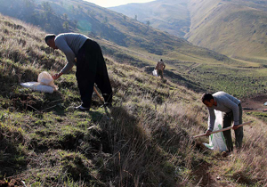 اصلاح مراتع کوهستانی غرب مازندران