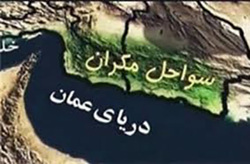 پذیرایی مردم استان سیستان و بلوچستان از درناهای اوراسیایی + فیلم