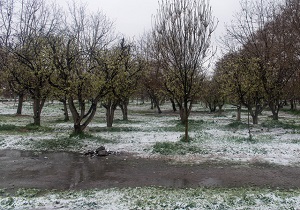 کشاورزان و دامداران اردبیلی هشدارهای هواشناسی را جدی بگیرند