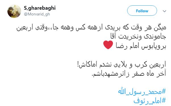 من حسینی شده ی دست امام حسنم +تصاویر