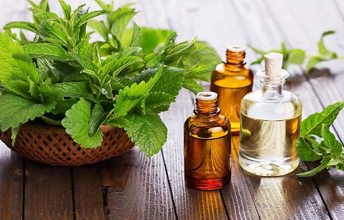 علت بروز قوز قرنیه چیست؟/جای جوش&zwnj;هایتان را با این روغن از بین ببرید/خوراکی لذیذ که منبع ویتامین K  است/برای از بین بردن سندرم پیش از قائدگی پاهایتان را ماساژ دهید