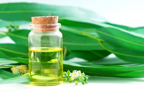 با رهایی از این ماده جوانی را به خود هدیه دهید/رفع گزیدگی حشرات با روغنی طبیعی/چطور بعد از پایان ورزش چربی سوزی کنیم؟/نسخه طب سنتی برای درمان درد دندان