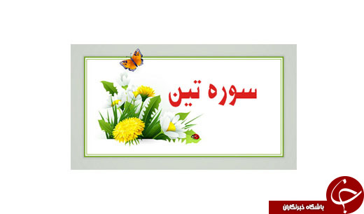 مروری کوتاه بر فضایل تلاوت سوره &laquo;تین&raquo;