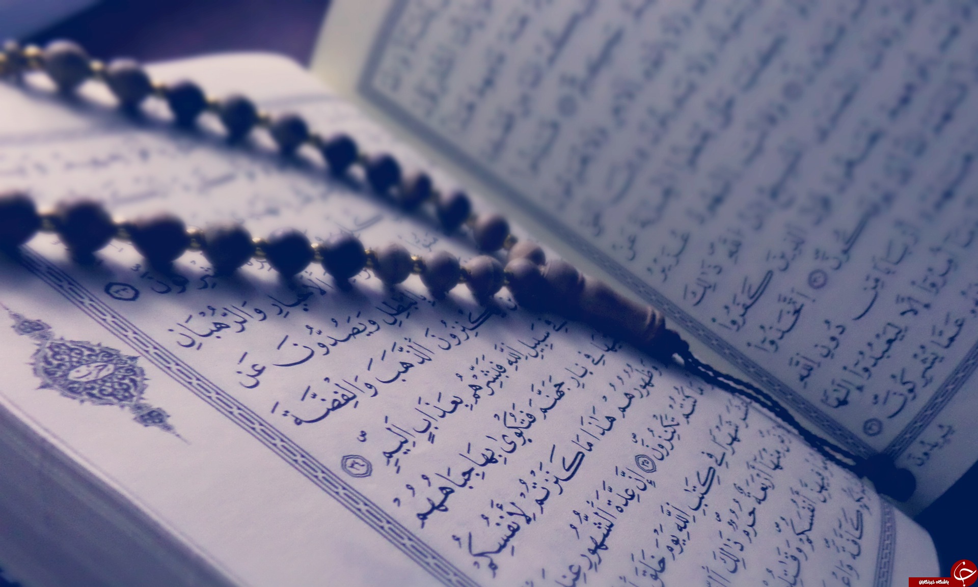 مروری کوتاه بر فضایل تلاوت سوره &laquo;تین&raquo;