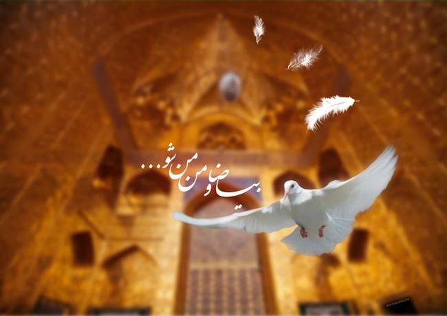 استدلال امام رضا (ع) برای پذیرش ولایت عهدی/ چه کسانی قصد ترور امام هشتم را داشتند؟