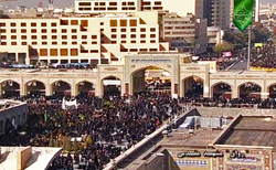 رونق صنعت نوغانداری در گلستان + فیلم