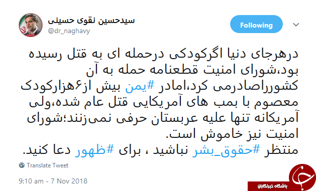 نقوی حسینی