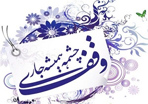 ۵۶۴ رقبه از رقبات موقوفات مهابادتا پایان سال سند دار خواهند شد