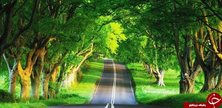 اگر قصد دارید زندگی خود را متحول کنید، بخوانید! +معرفی راهکار&zwnj;های نقره&zwnj;ای!