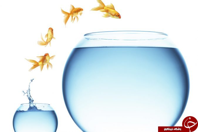 اگر قصد دارید زندگی خود را متحول کنید، بخوانید! +معرفی راهکار&zwnj;های نقره&zwnj;ای!