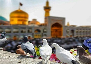 آئین عزاداری سالروز شهادت امام رضا(ع) در پایتخت حسینیت