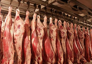 توزیع ۸ تن گوشت وارداتی در شهرستان نطنز