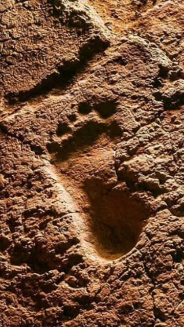 واکنش غیرمنتظره مسئولان به اقدام تحسین&zwnj;برانگیز یک دوستدار میراث فرهنگی!
