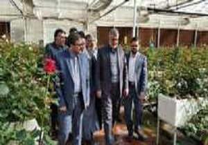 بازدید وزیر جهاد کشاورزی از گلخانه پرورش گل رز در بیرجند