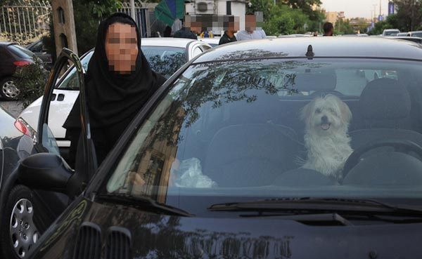 همزیستی بی تعهد با مهمانان بی توقع! / از علت&zwnj;های علاقه به نگهداری حیوان خانگی تا نقش سلبریتی&zwnj;ها در ترویج سگ بازی