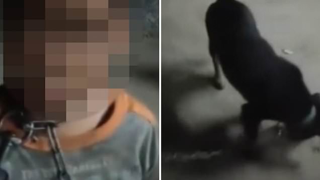 عمل عجیب پدر چینی با پسر 11 ساله اش! + فیلم