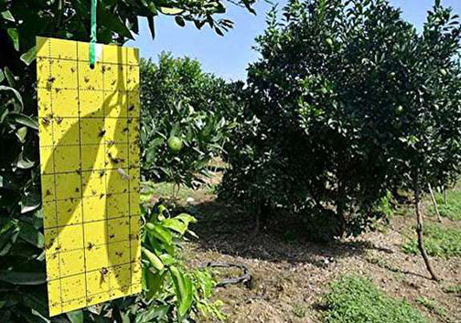 نگاهی گذرا به مهمترین رویداد&zwnj;های شنبه ۱۹ آبان ماه در مازندران