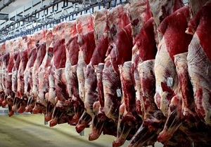 حذف بیش از ۵ تن گوشت از چرخه مصرف در خراسان جنوبی