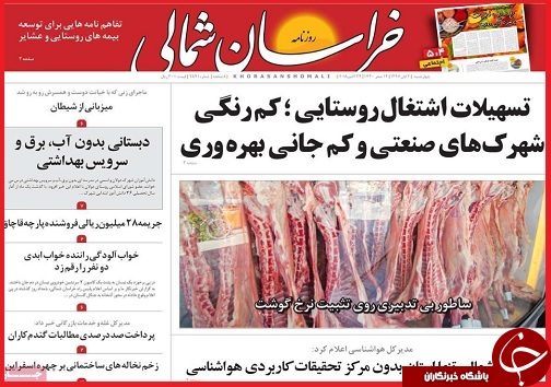 قاچاق چوب حراجی بر سرمایه ملی / 7 قدم تا بزرگ ترین راهپیمایی جهان